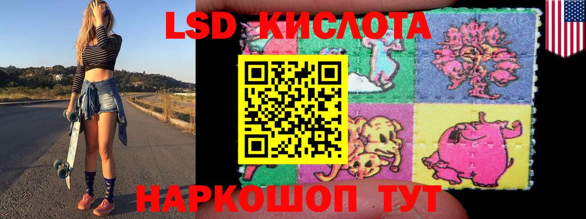Наркотические марки 1500мкг Камышлов