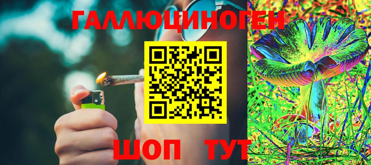 Псилоцибиновые грибы Psilocybe  Псилоцибиновые грибы Psilocybine cubensis  Вход с VPN  Камышлов 