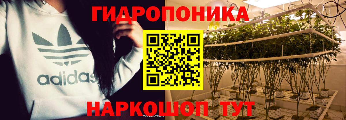 Канабис ГИДРОПОН  Вход с VPN  Шишки марихуана семена  Камышлов  МАРИХУАНА LSD WEED 